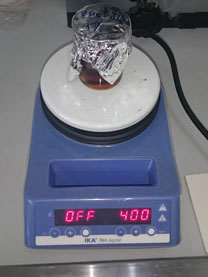 Magnetic stirrer（IKA RH digital）