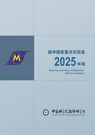 2025年报
